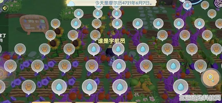 摩尔庄园手游雨天系统全攻略，精准掌握降雨时刻表，解锁游戏新乐趣