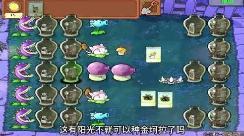 植物大战僵尸金坷垃版本揭秘，经典游戏中的神秘元素探索