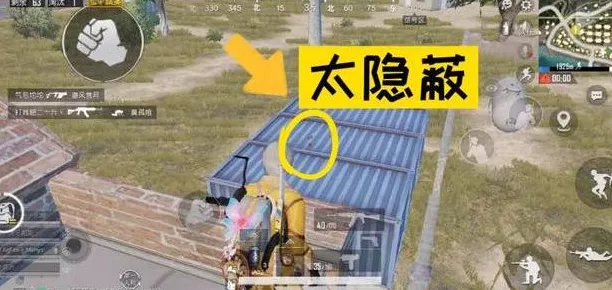 揭秘和平精英，信号枪必刷热点与战术布局深度解析