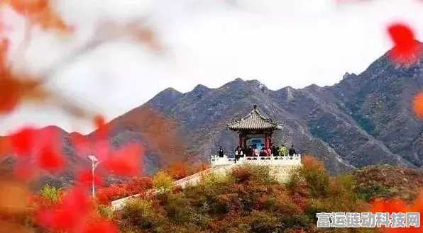 阴阳师惊爆，红叶羁绊BUG揭秘，达摩金币无限刷取攻略？