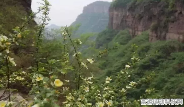 烟雨江湖游历全解析，解锁奇遇，提升修为的不二法门