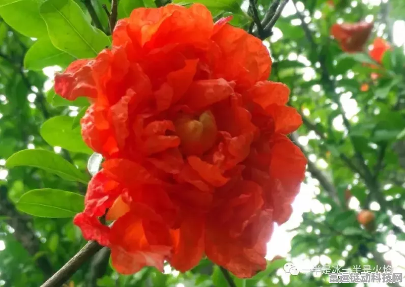 无限暖暖薄芒织夜绝美套装大赏，玩法细节与赛事亮点前瞻