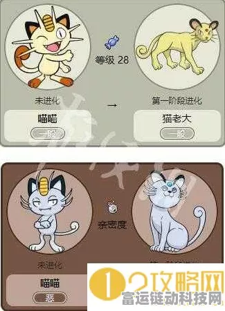 宝可梦大探险，揭秘喵喵的进化之旅与战斗策略