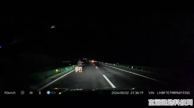 华为AEB系统雨夜立功，问界高速惊险刹停，车主直呼捡回一条命