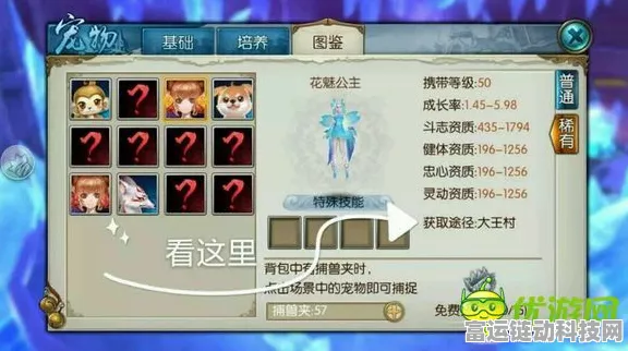 揭秘诛仙手游，花魅公主高效捕获全攻略