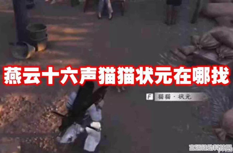 燕云十六声，猫猫哑鼓珍稀获取攻略大揭秘