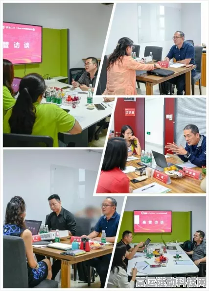 梦幻西游手游，工坊采集职业全攻略，解锁致富新路径！