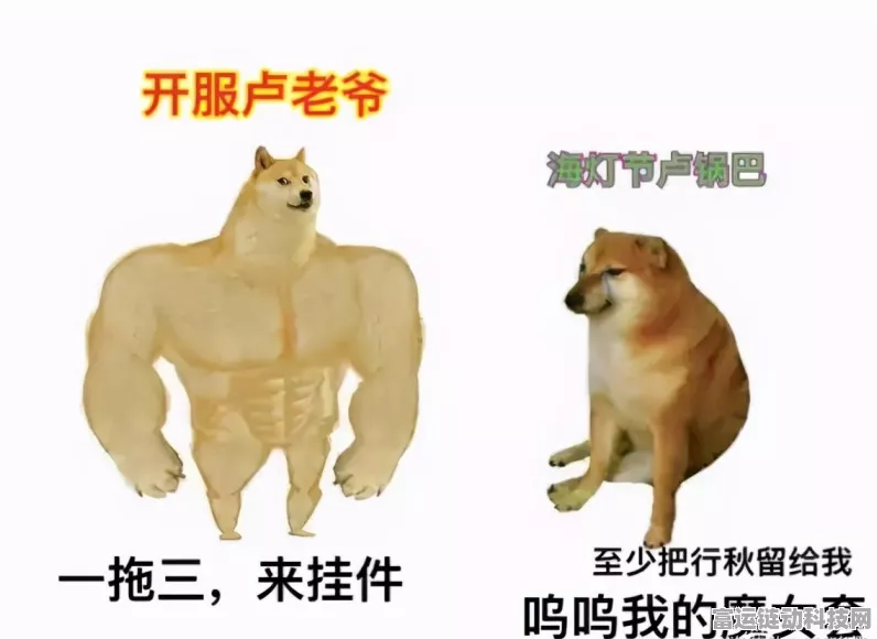 迪卢克遗物终极搭配秘籍，词条优选与实战攻略大揭秘