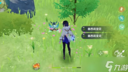 原神深度探索，追踪塞西莉亚花的绝美秘境与高效采集攻略