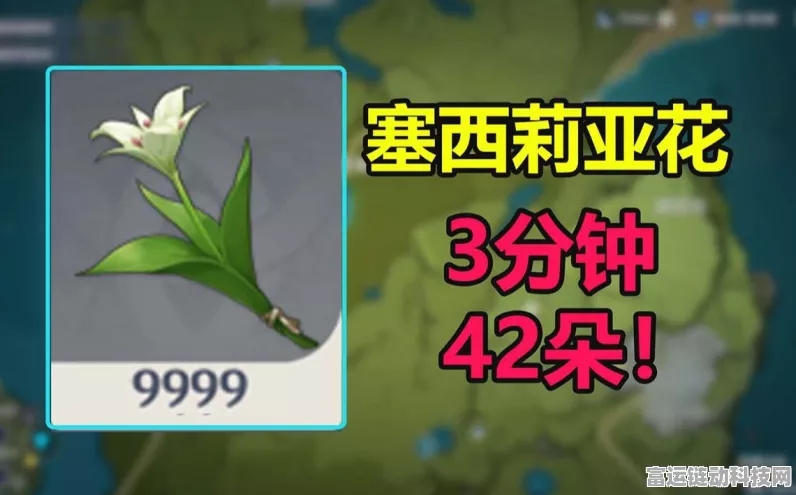 原神深度探索，追踪塞西莉亚花的绝美秘境与高效采集攻略