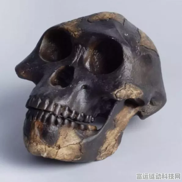 光遇探索指南，揭秘伊甸记忆碎片的高效收集策略