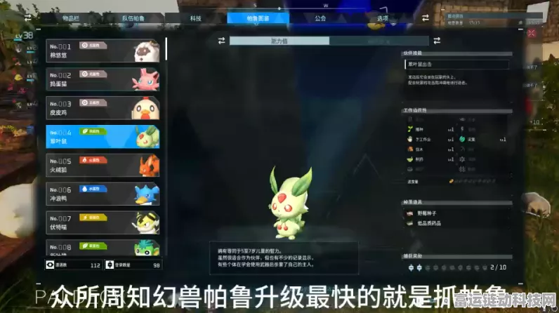 幻兽帕鲁，揭秘优质布料合成秘籍，打造顶级装备！