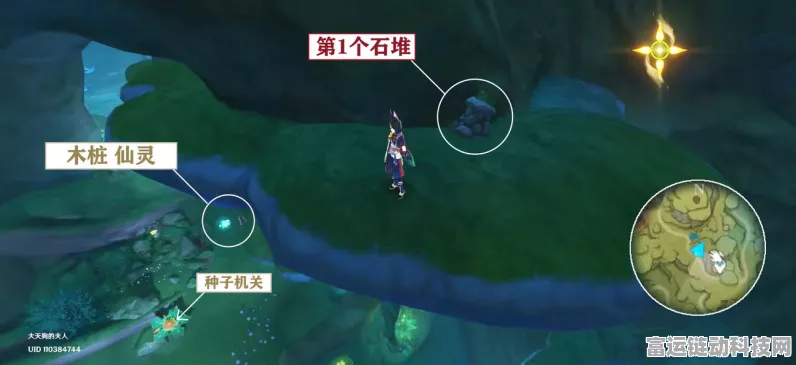原神须弥无郁稠林秘境解锁全攻略，探索未知，揭秘开启条件！