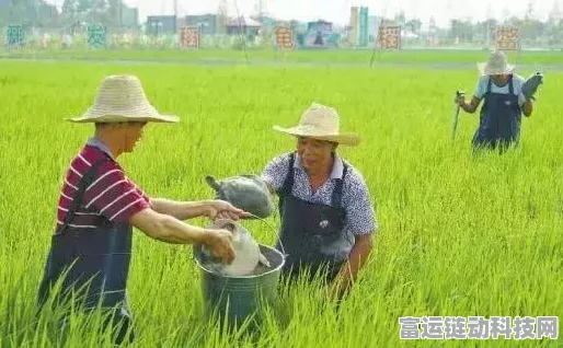 RFID技术革新手游仓储管理，打造高效智能的游戏世界后盾
