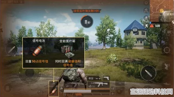 和平精英时尚达人秘籍，解锁服装搭配新境界，打造战场独特风采