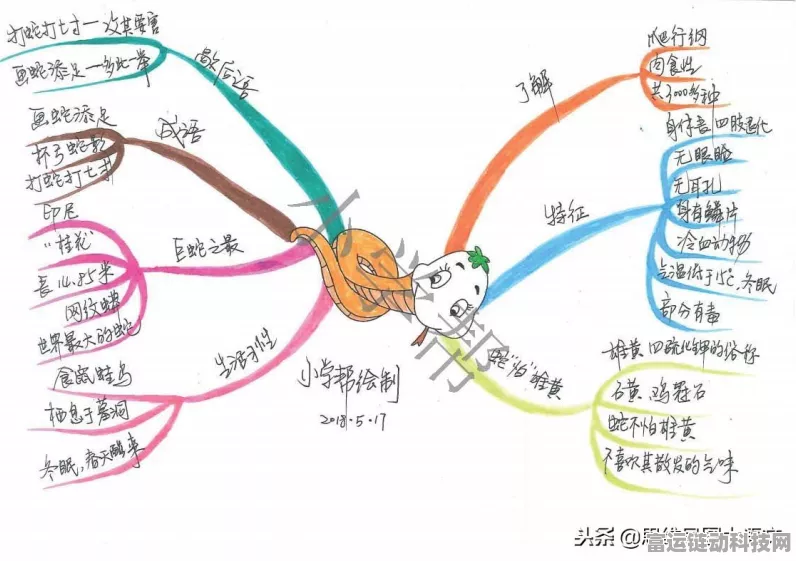 阴阳师神秘老鼠车玩法揭秘，上车规矩与高效攻略