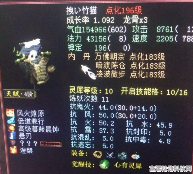 大话西游手游寻芳挑战全攻略，解锁高效通关秘籍