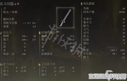 艾尔登法环高手进阶，居合斩技能精选与实战策略全揭秘