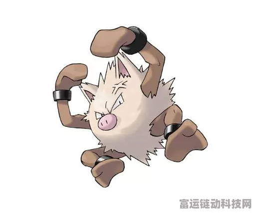 探秘宝可梦大探险，猴怪专属食谱配方大公开！