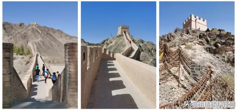 不朽之旅不朽之壁攻略 不朽之壁流派推荐