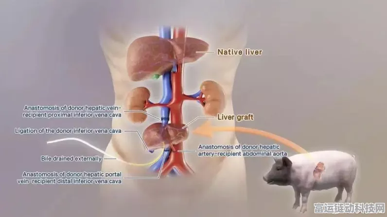 手游科技跨界新突破，基因编辑猪肾成功移植猕猴，存活期创184天纪录