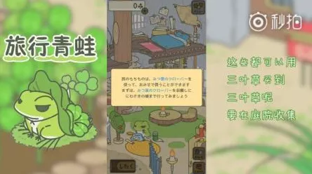 旅行青蛙全攻略，解锁趣味玩法，打造完美旅行体验