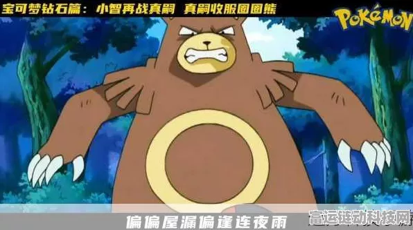 口袋妖怪复刻，揭秘圈圈熊性格搭配与战斗策略