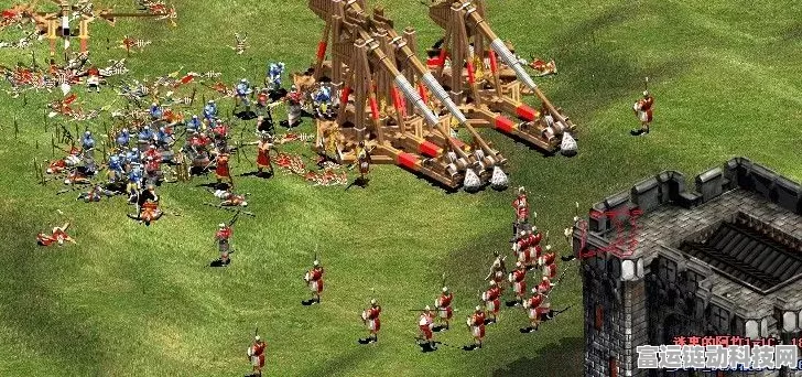 帝国时代2兵种巅峰争霸赛，详解最强兵种实战策略，揭秘霸主之路