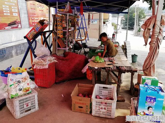 时光杂货店农忙盛宴，全攻略解锁丰收秘籍