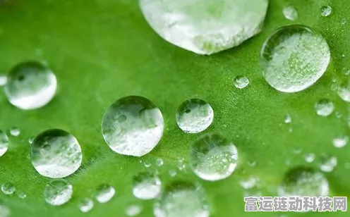 迷你世界新版本揭秘，传送门制作全攻略及趣味挑战赛