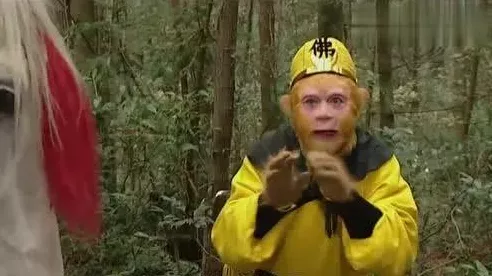 少年西游记2，珍稀兑换码大放送，独家揭秘与高效获取策略