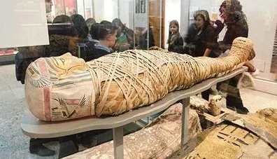 保卫萝卜4法老归来终极揭秘，第98关满星攻略与通关秘籍