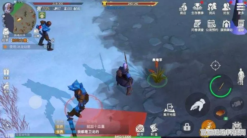 冰原守卫者，回血技巧大揭秘，助你征服极寒之地，畅享游戏巅峰体验