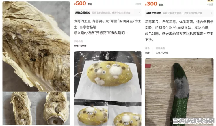手游圈奇闻！闲鱼惊现霉菌挂售，研究生网友破防热议