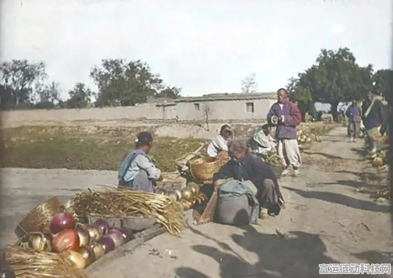 怪物猎人崛起，揭秘随从雇佣广场，详尽图文指南助你探险无忧！