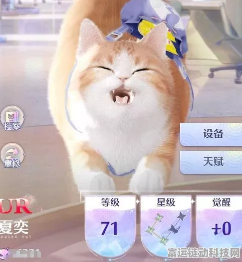 闪耀星途大揭秘，猫咪星宿套装活动全攻略及赢取技巧
