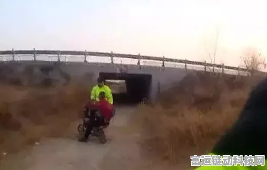 三国志12投石车战术深度解析，战场上的远程杀手！