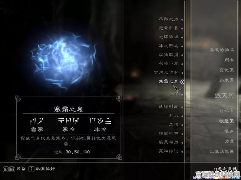 解锁龙语奥秘，上古卷轴5，天际龙语技能全攻略