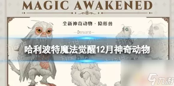 哈利波特魔法觉醒，雪怪宠物获取全攻略，赢取稀有雪怪宠物大赛开启！