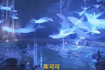 鸣潮星海拾影五任务全攻略，解锁隐藏奖励与高效通关技巧