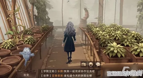 哈利波特魔法觉醒，米布米宝拼图全攻略，揭秘隐藏位置与获取技巧