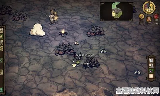饥荒海难深度探索，揭秘黑兔蟹的奇妙用途与独家代码攻略