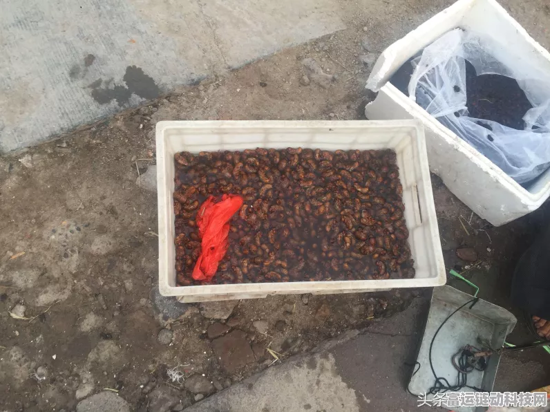 王者荣耀金蝉唐僧皮肤深度剖析，珍稀限定售价及比赛细节全揭秘