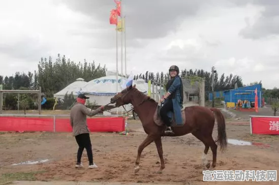 创造与魔法40级可驯飞行坐骑大盘点，助你翱翔天际！