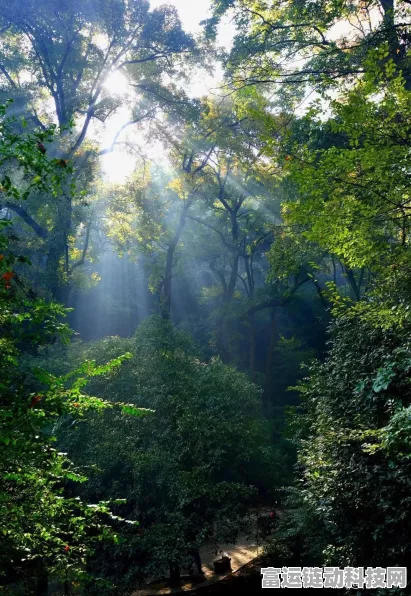探秘黑神话，悟空翠竹林场景，解锁隐藏任务与宝藏