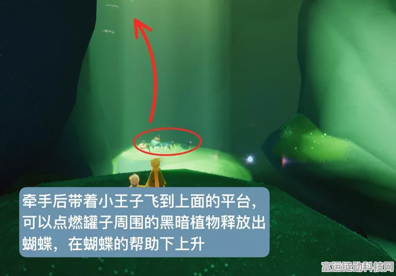 光遇小王子季节攻略，揭秘第五个任务通关秘籍