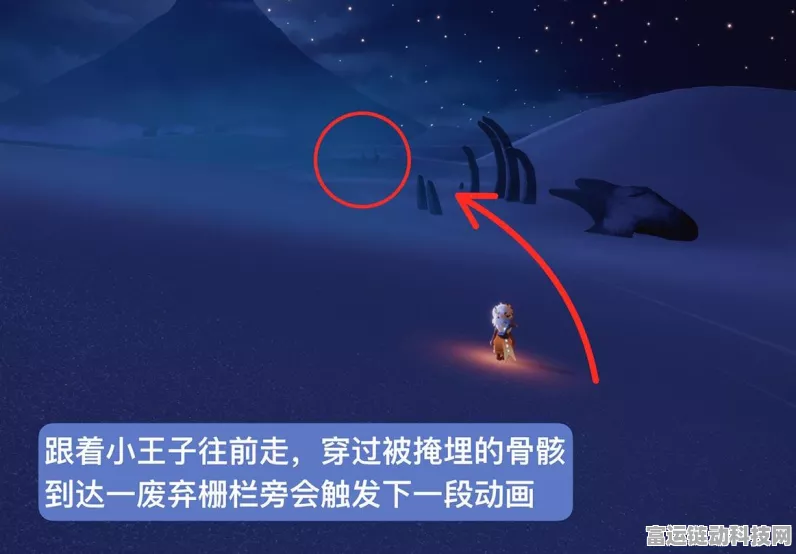 光遇小王子季节攻略，揭秘第五个任务通关秘籍