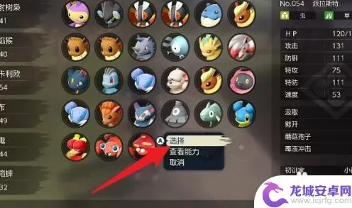 宝可梦阿尔宙斯亲密度全解析，掌握查看技巧，提升伙伴战力
