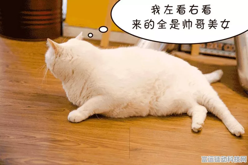 动物大联盟，揭秘惊喜大礼包，豪华奖励等你拿！