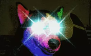 迷你世界攻略揭秘，年兽捕捉与年兽蛋召唤技巧大公开